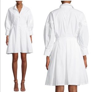 Joie cotton button up shirt dress